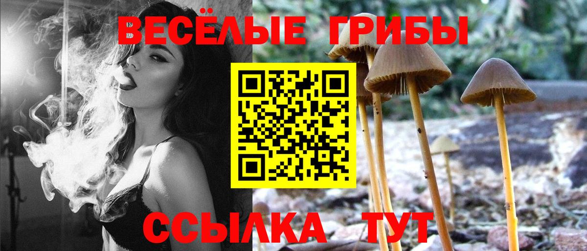 Галлюциногенные грибы прущие грибы  цены   Котлас  Вход с VPN 