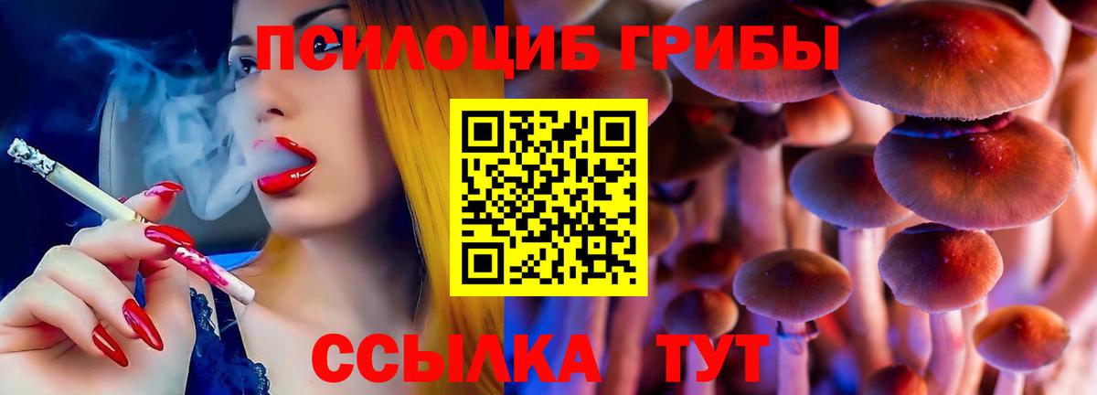 Псилоцибиновые грибы Magic Shrooms Котлас