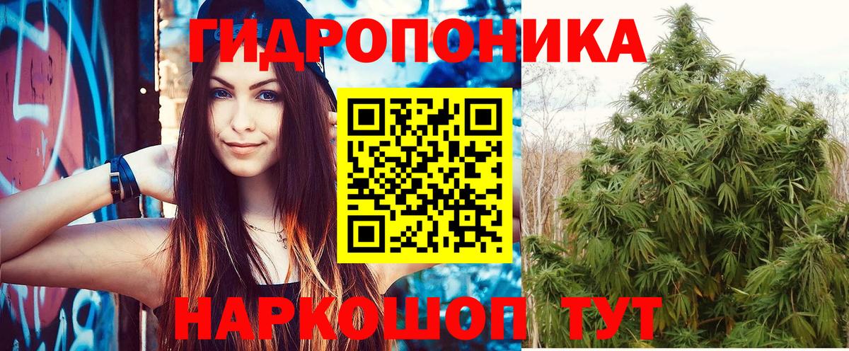 Каннабис гибрид  Канабис гибрид  Котлас  Вход с VPN  МАРИХУАНА сатива 